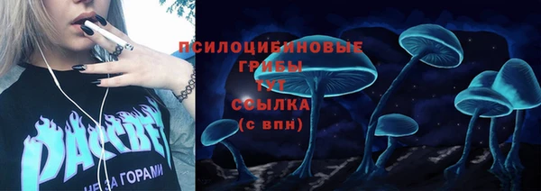 твердый Гусиноозёрск