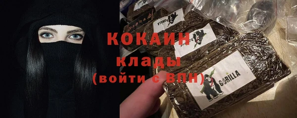 дживик Арсеньев